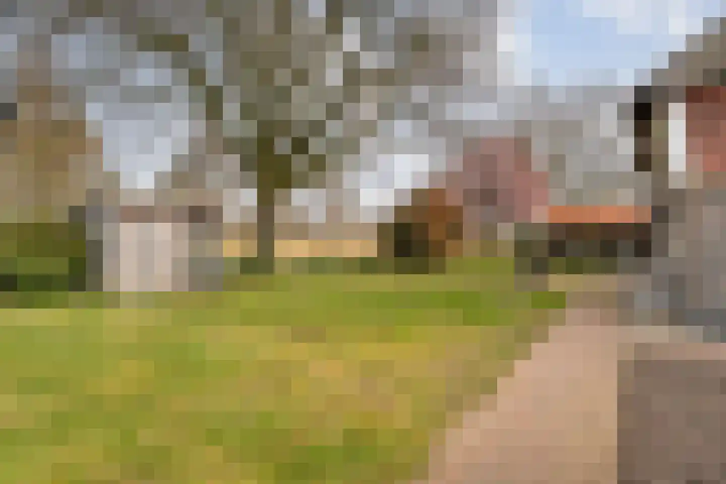 Zuidelijke Kanaaldijk 15 Hellendoorn thumbnail 63