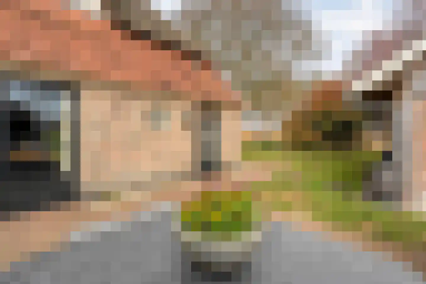 Zuidelijke Kanaaldijk 15 Hellendoorn thumbnail 72