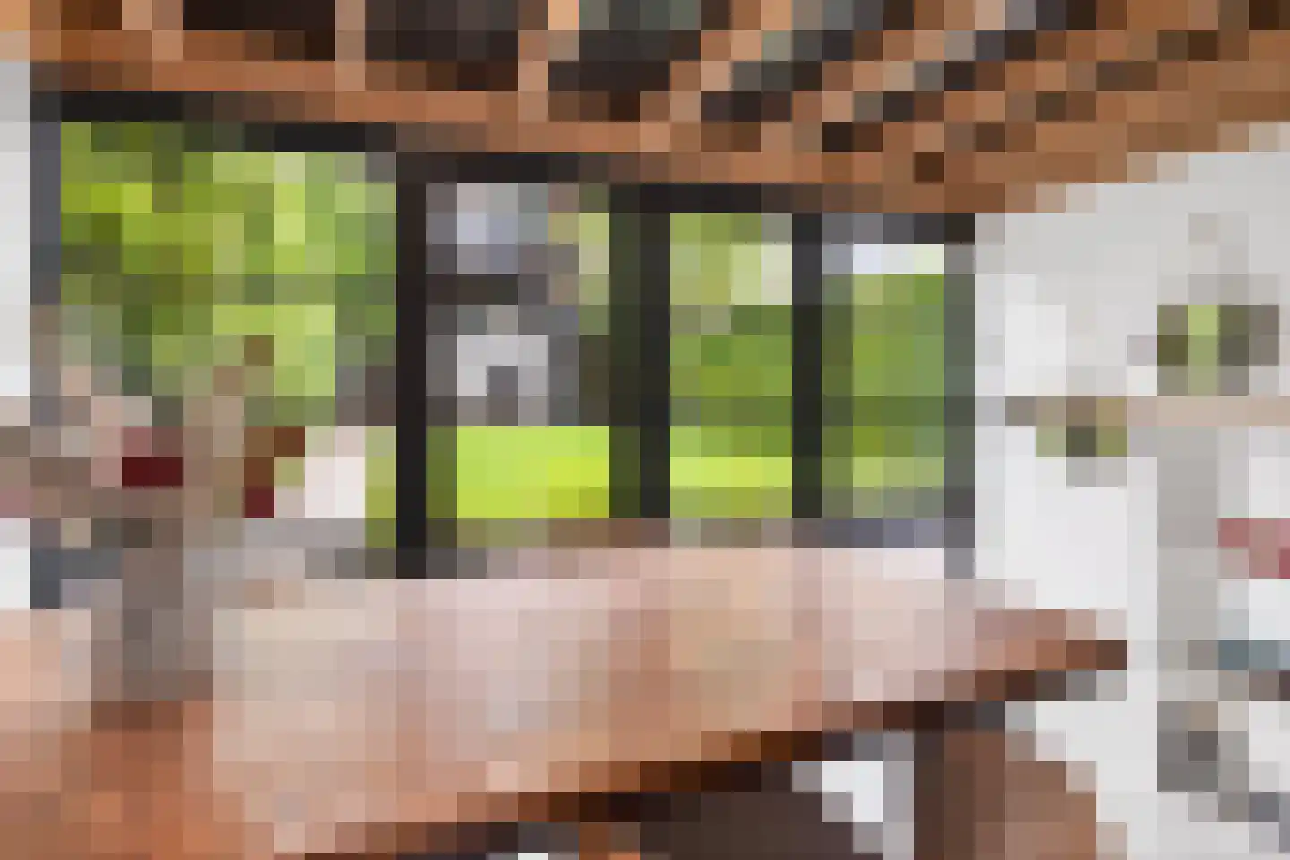 Zuidelijke Parallelweg 14 Arnhem thumbnail 37