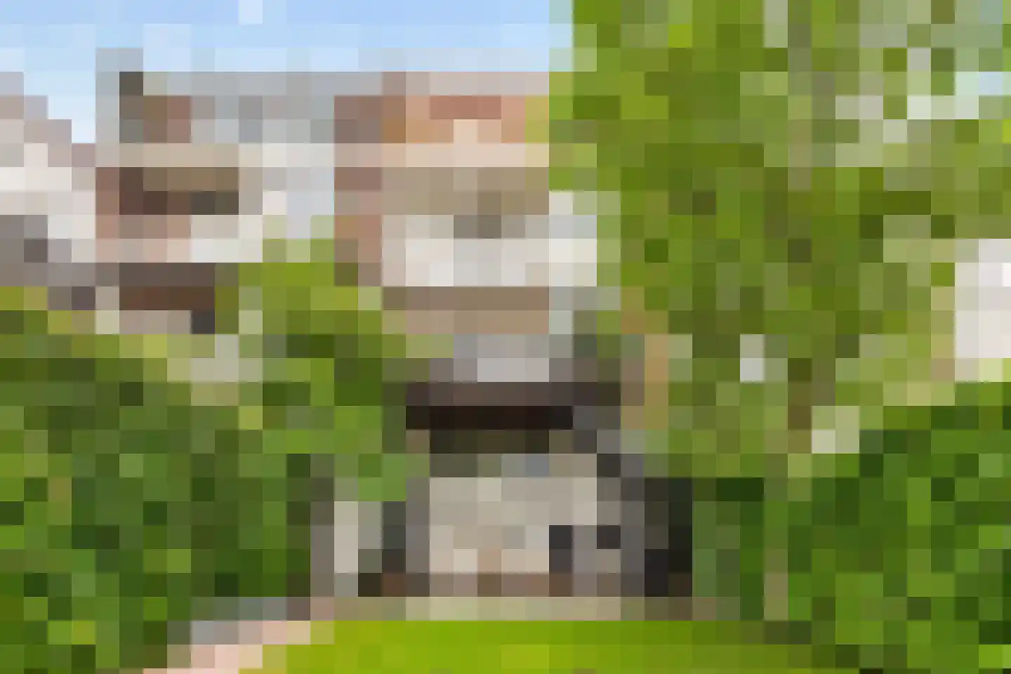 Zuidelijke Parallelweg 14 Arnhem thumbnail 41