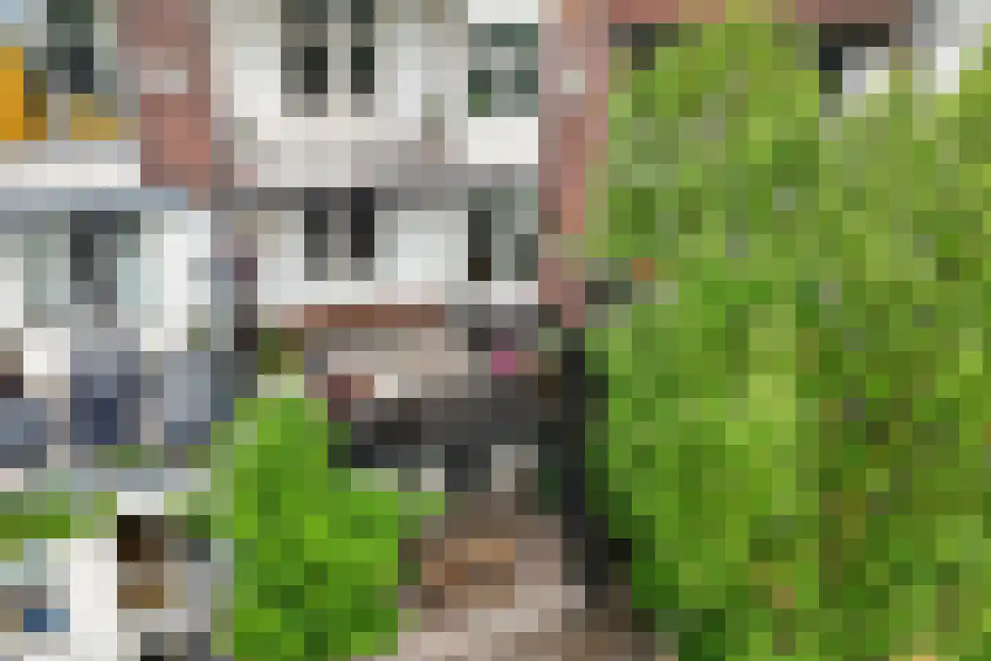 Zuidelijke Parallelweg 14 Arnhem thumbnail 44