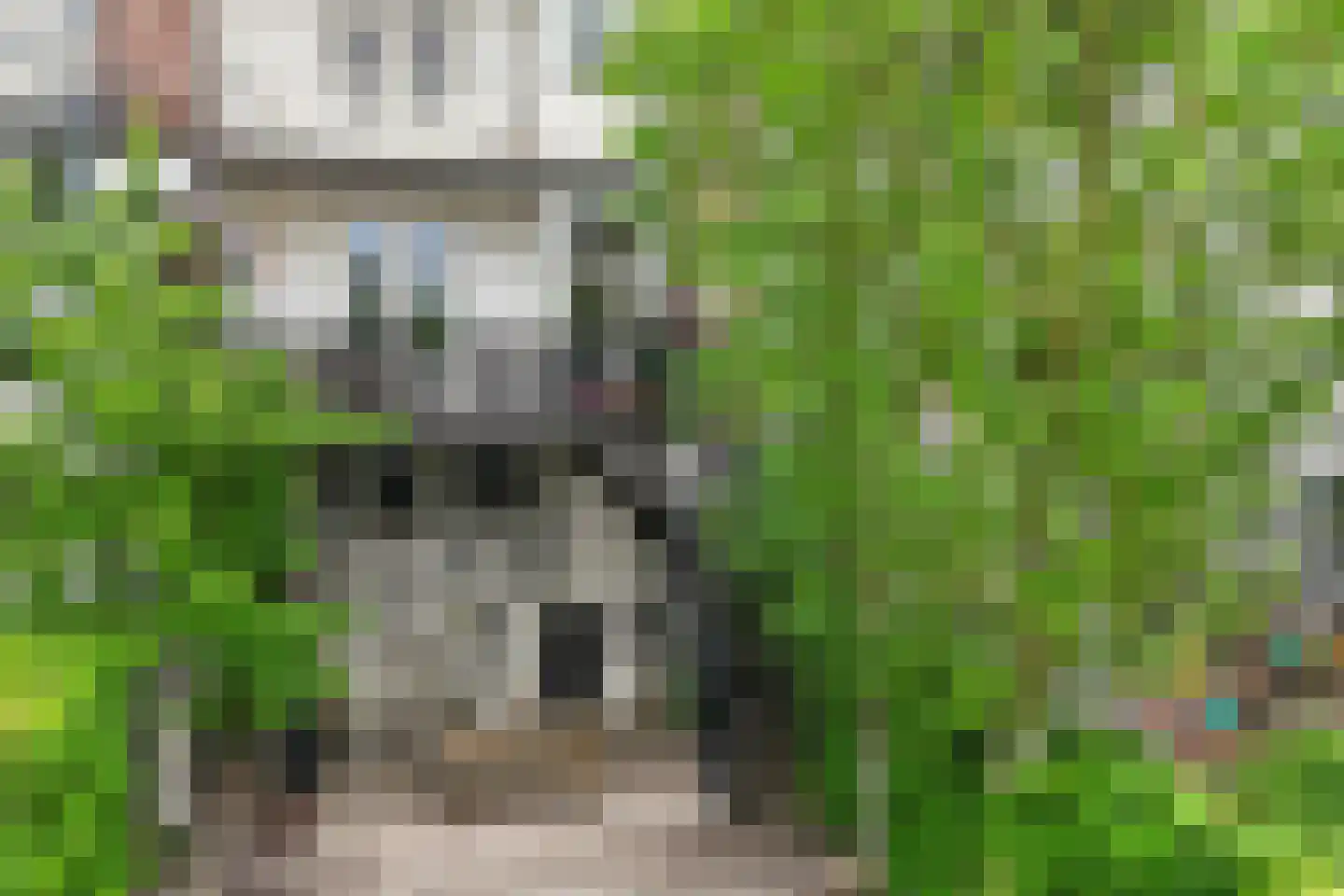 Zuidelijke Parallelweg 14 Arnhem thumbnail 46