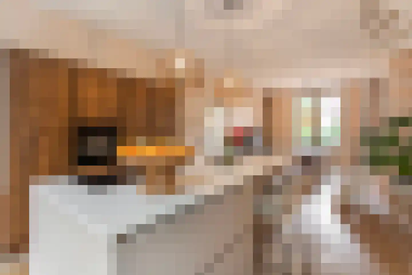 Zuidelijke Parallelweg 14 Arnhem thumbnail 9