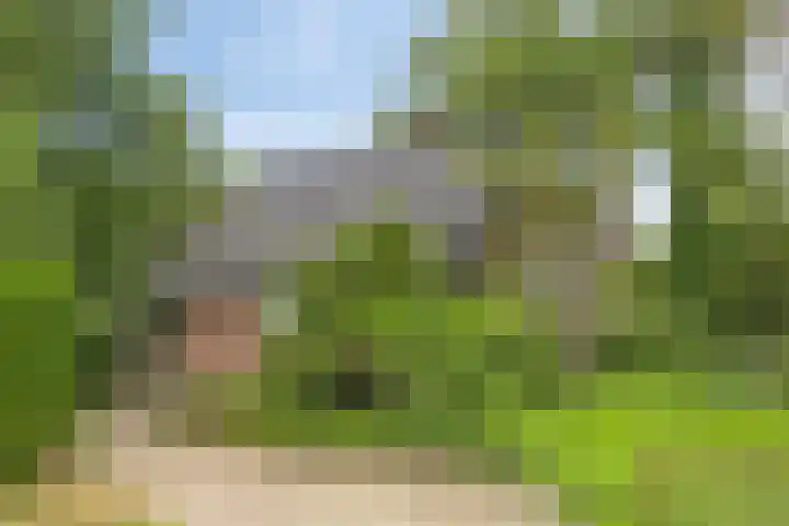 Zuidelijke Parallelweg 7 Westervoort thumbnail 6