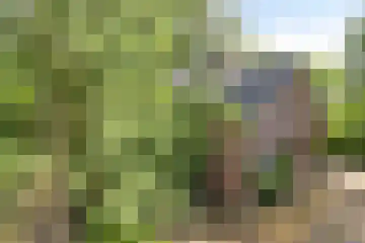 Zuidelijke Parallelweg 7 Westervoort thumbnail 7
