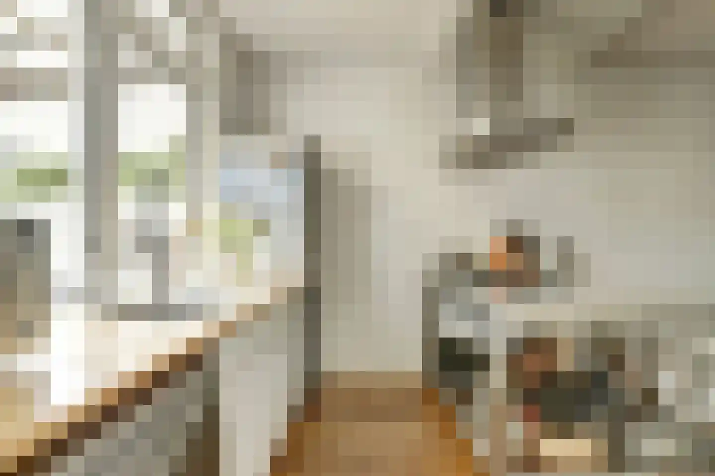 Zuidelijke Steijnkade 12 Gouda thumbnail 12