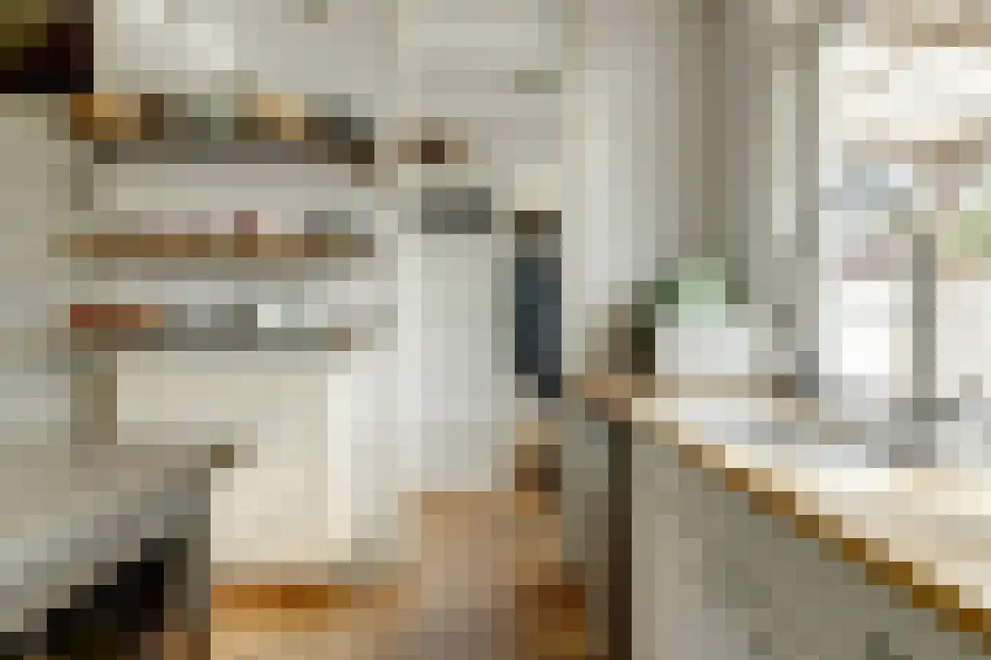 Zuidelijke Steijnkade 12 Gouda thumbnail 13