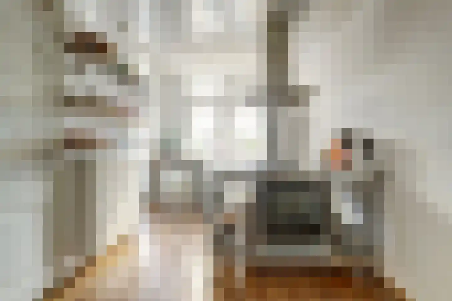 Zuidelijke Steijnkade 12 Gouda thumbnail 14