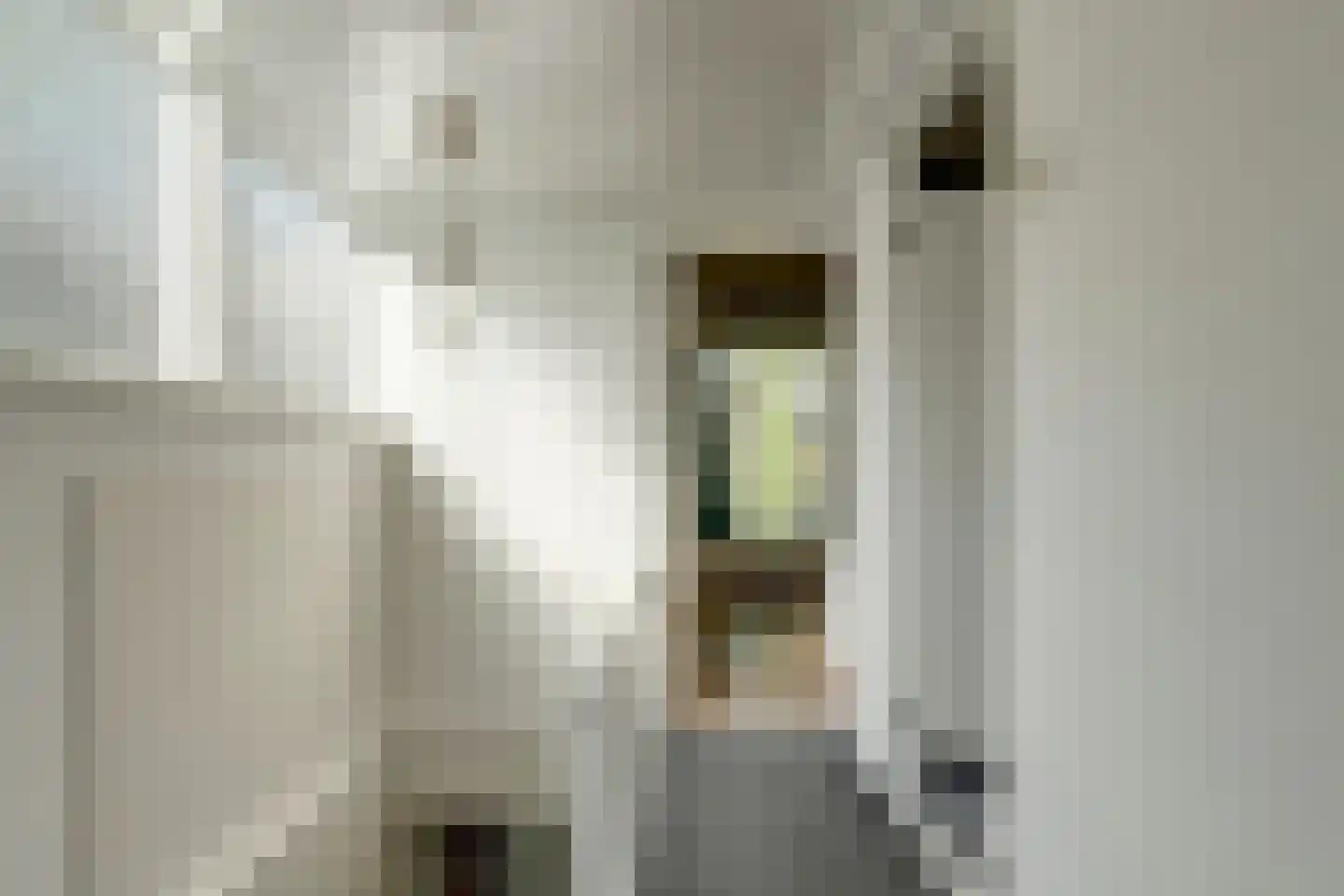 Zuidelijke Steijnkade 12 Gouda thumbnail 17
