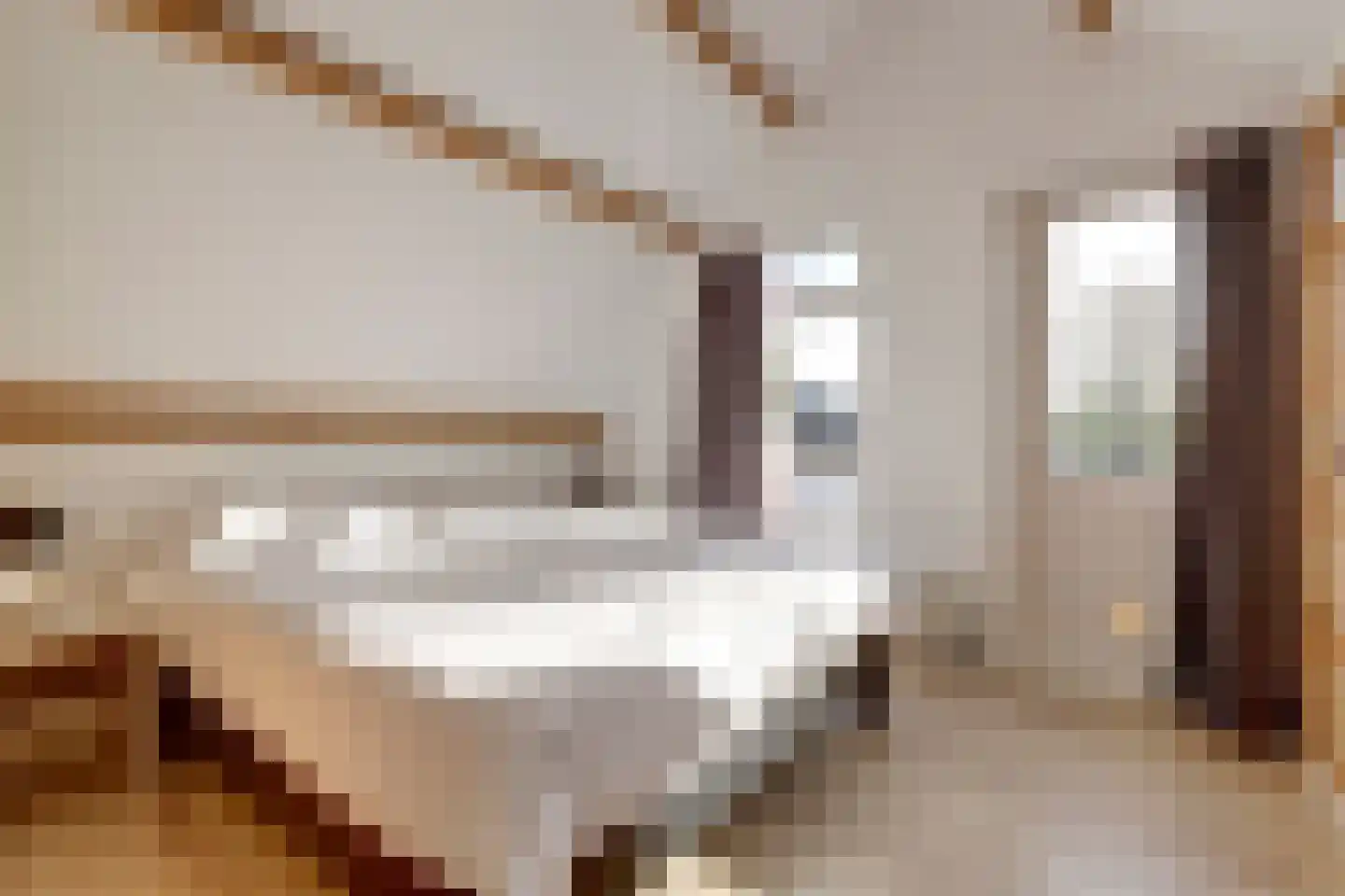 Zuidelijke Steijnkade 12 Gouda thumbnail 19