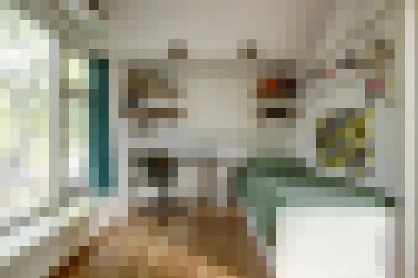 Zuidelijke Steijnkade 12 Gouda thumbnail 21