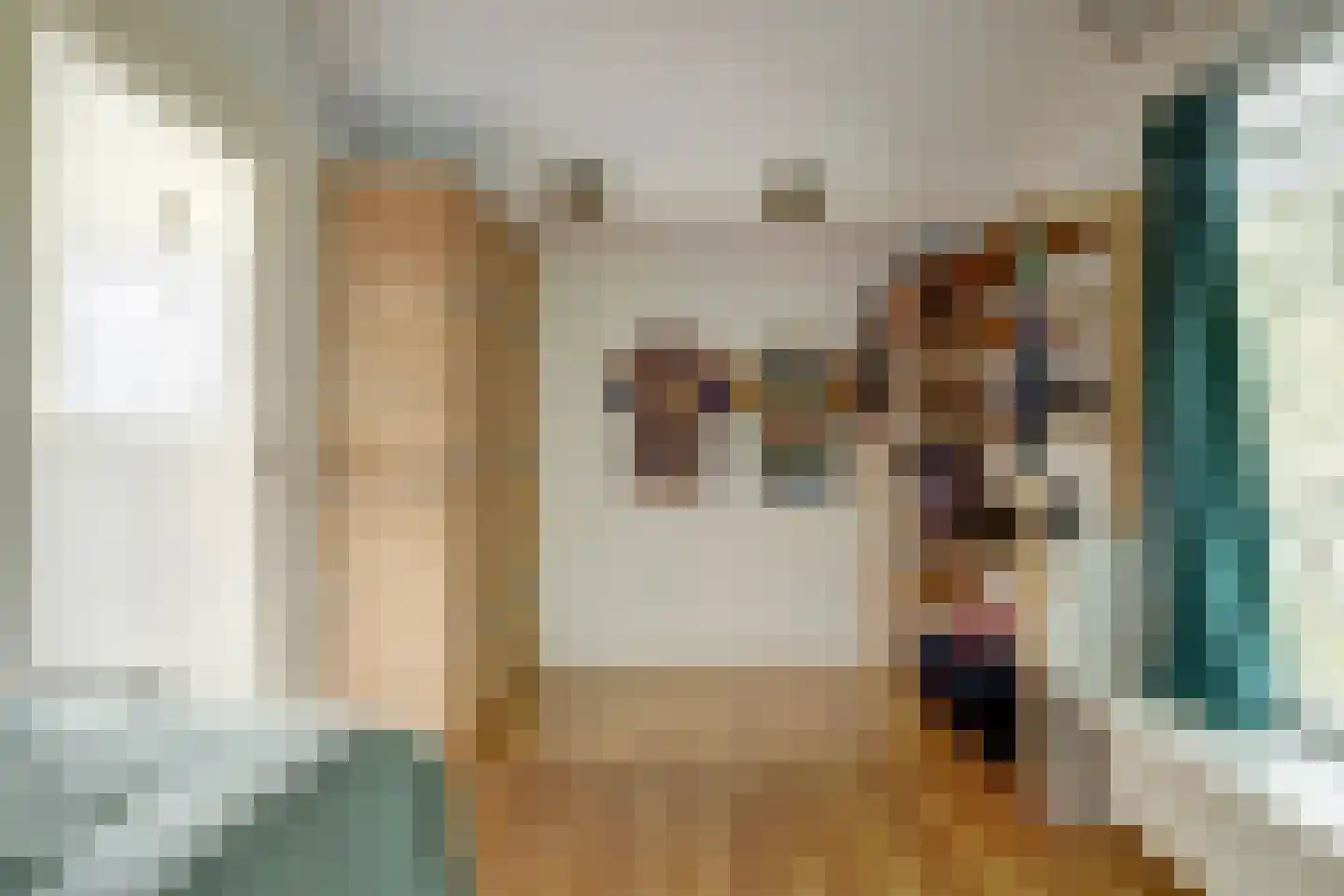 Zuidelijke Steijnkade 12 Gouda thumbnail 22