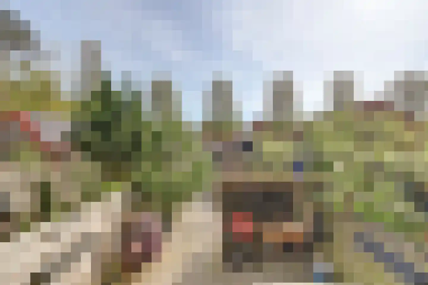 Zuidelijke Steijnkade 12 Gouda thumbnail 29