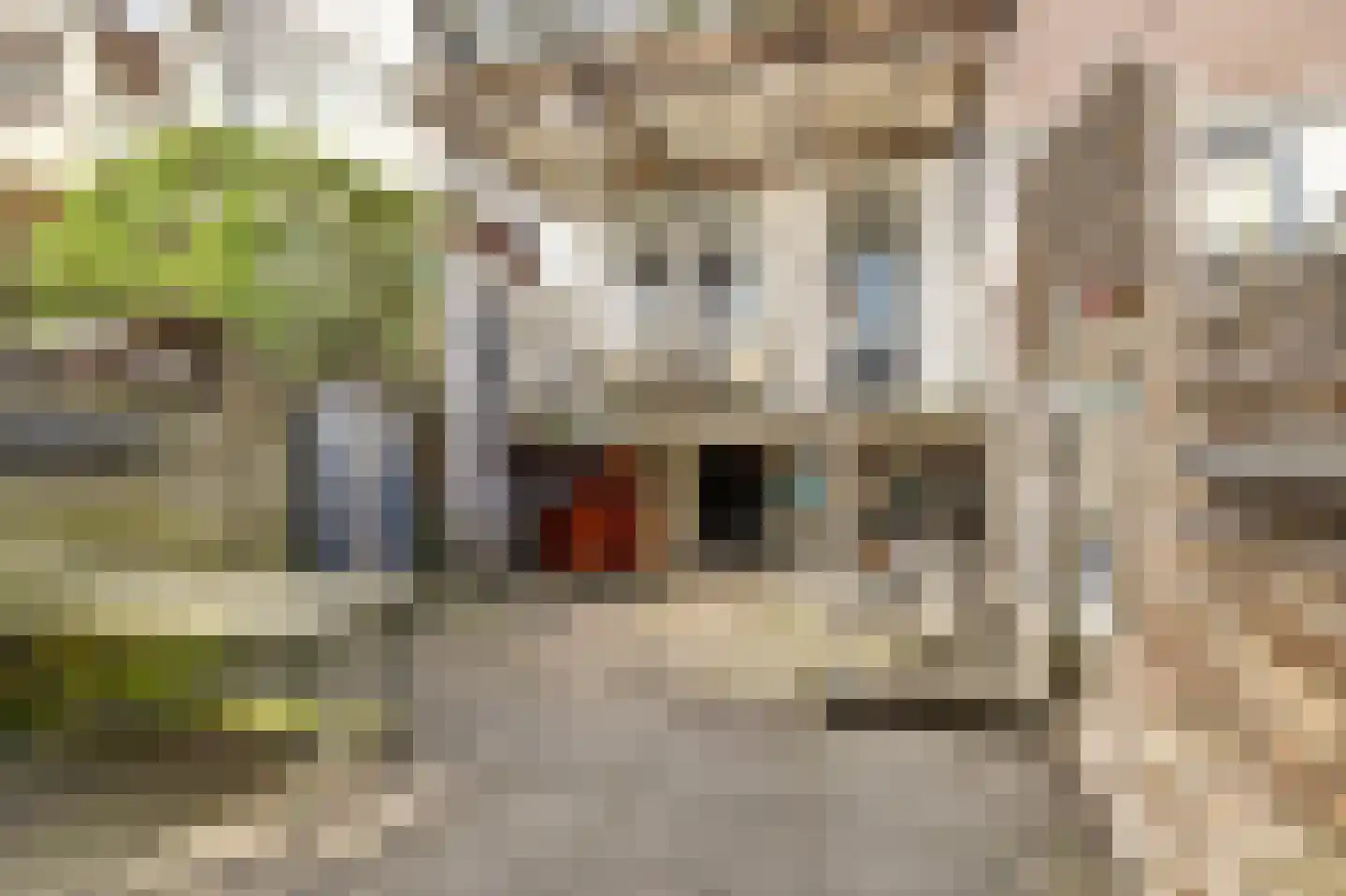 Zuidelijke Steijnkade 12 Gouda thumbnail 31
