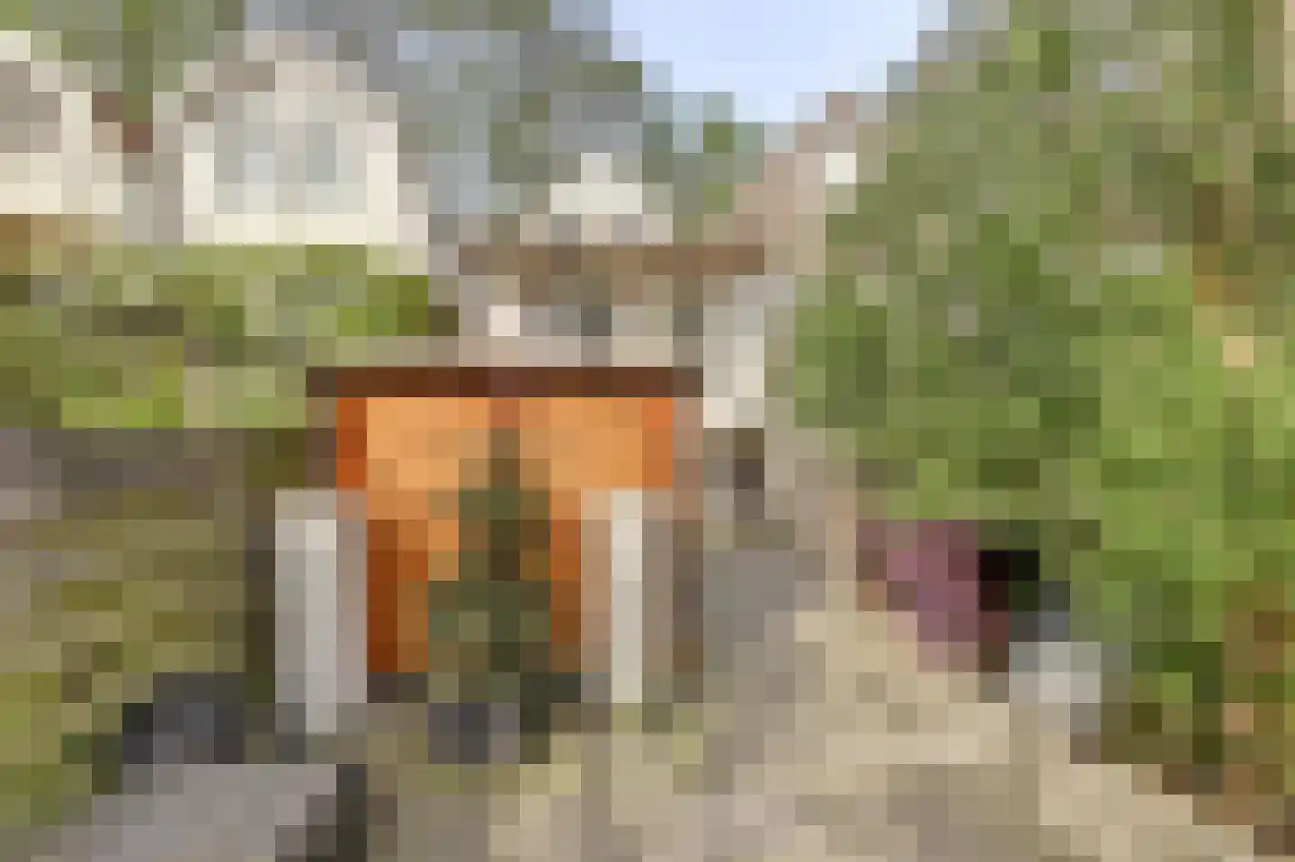 Zuidelijke Steijnkade 12 Gouda thumbnail 33
