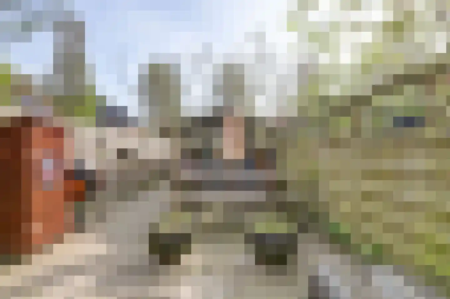 Zuidelijke Steijnkade 12 Gouda thumbnail 34