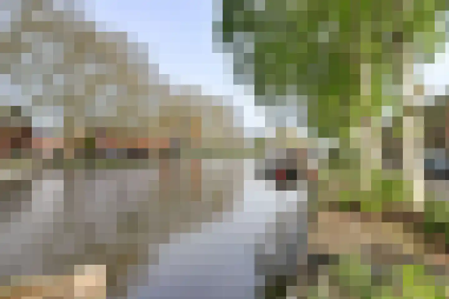 Zuidelijke Steijnkade 12 Gouda thumbnail 46