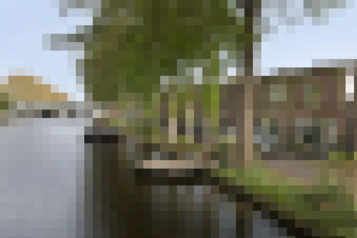 Zuidelijke Steijnkade 12 Gouda thumbnail 6