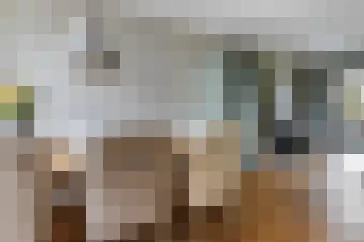 Zuidelijke Steijnkade 23 Gouda thumbnail 10