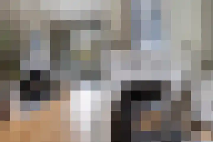 Zuidelijke Steijnkade 23 Gouda thumbnail 15
