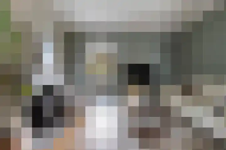 Zuidelijke Steijnkade 23 Gouda thumbnail 18
