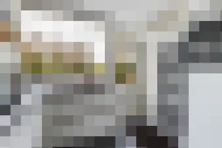 Zuidelijke Steijnkade 23 Gouda thumbnail 21