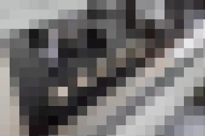 Zuidelijke Steijnkade 23 Gouda thumbnail 23