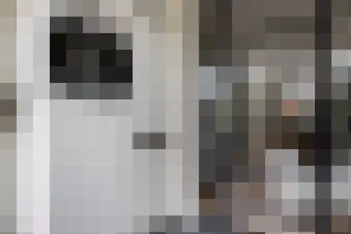 Zuidelijke Steijnkade 23 Gouda thumbnail 24