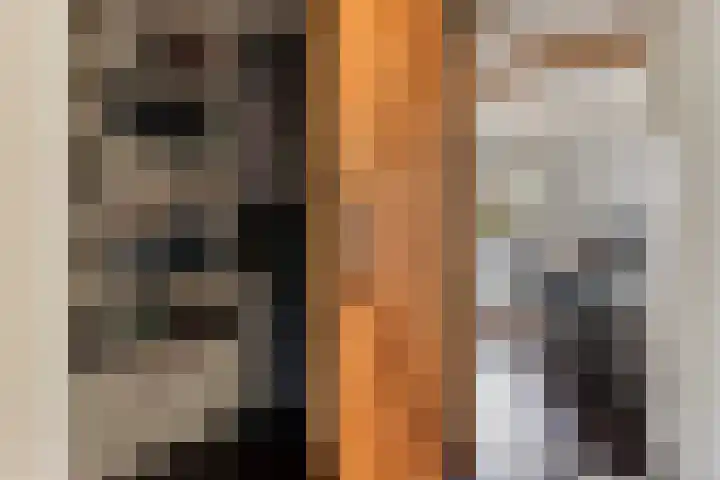 Zuidelijke Steijnkade 23 Gouda thumbnail 31