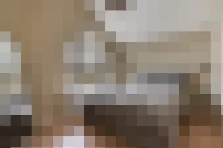 Zuidelijke Steijnkade 23 Gouda thumbnail 33