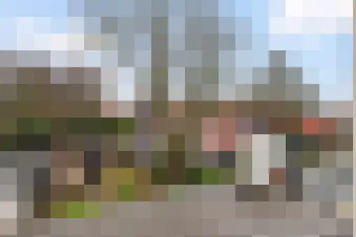 Zuidelijke Steijnkade 23 Gouda thumbnail 39