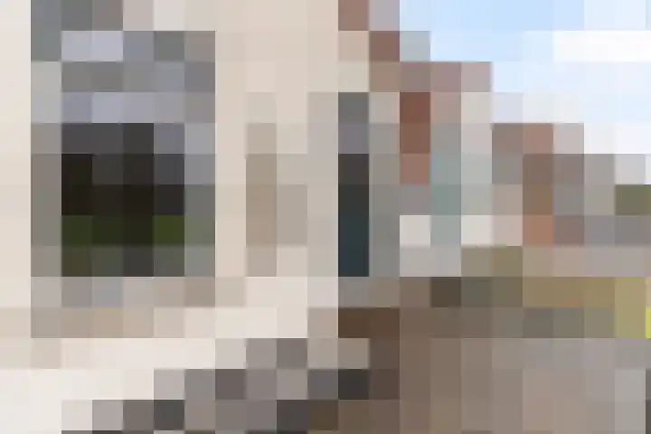 Zuidelijke Steijnkade 23 Gouda thumbnail 44
