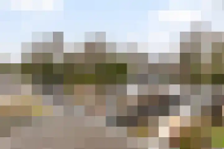 Zuidelijke Steijnkade 23 Gouda thumbnail 45