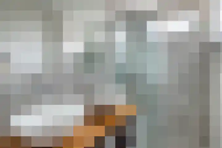 Zuidelijke Steijnkade 23 Gouda thumbnail 48