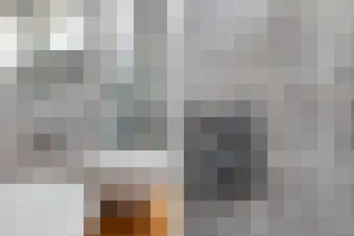 Zuidelijke Steijnkade 23 Gouda thumbnail 49
