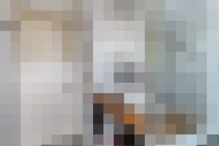 Zuidelijke Steijnkade 23 Gouda thumbnail 50