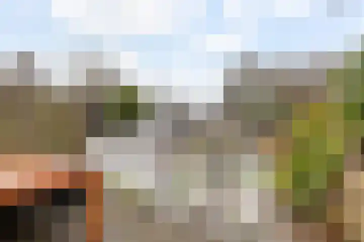 Zuidelijke Steijnkade 23 Gouda thumbnail 51