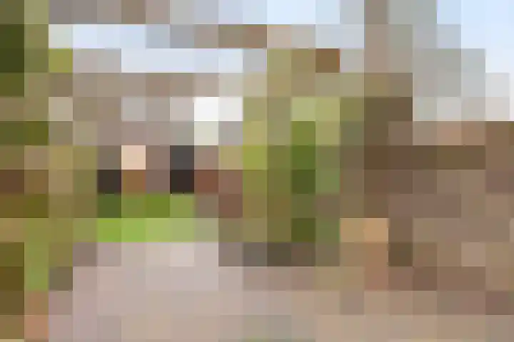 Zuidelijke Steijnkade 23 Gouda thumbnail 54