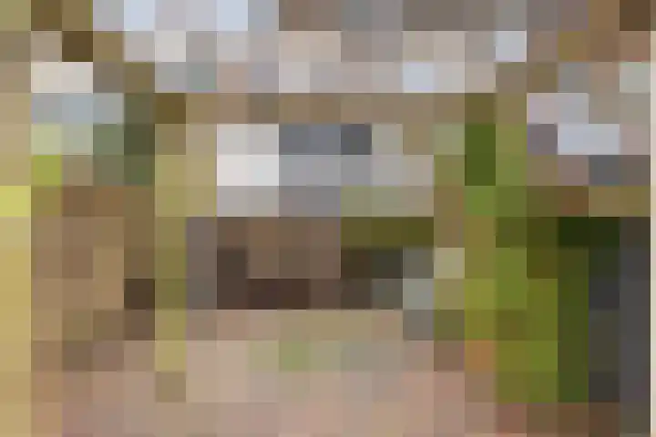 Zuidelijke Steijnkade 23 Gouda thumbnail 55