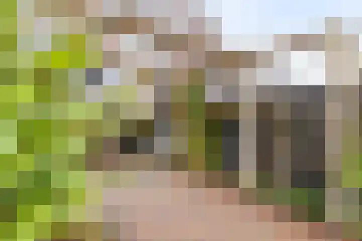 Zuidelijke Steijnkade 23 Gouda thumbnail 56