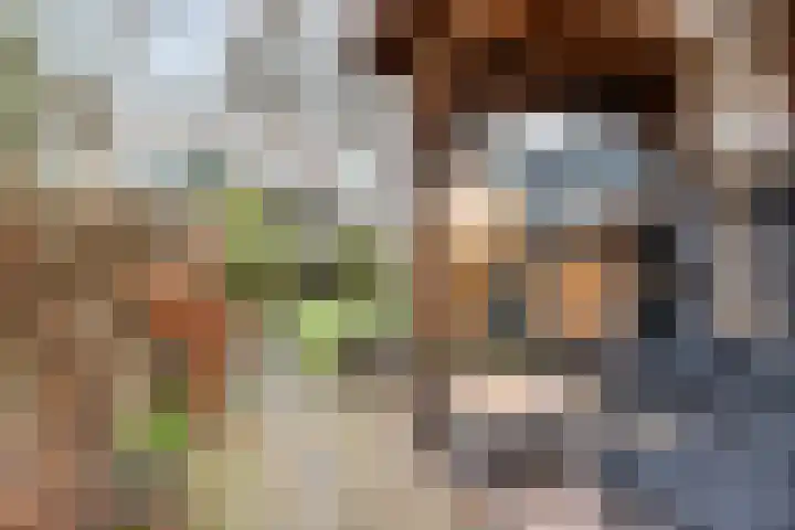 Zuidelijke Steijnkade 23 Gouda thumbnail 58