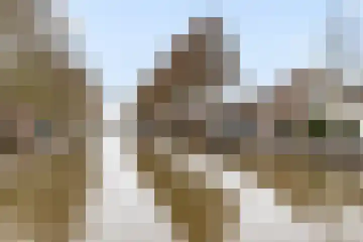 Zuidelijke Steijnkade 23 Gouda thumbnail 6