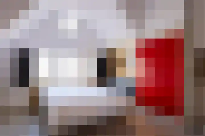 Zuidende 48 Helmond thumbnail 18