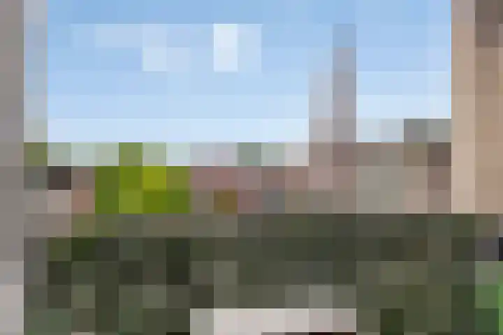Zuidende 48 Helmond thumbnail 20
