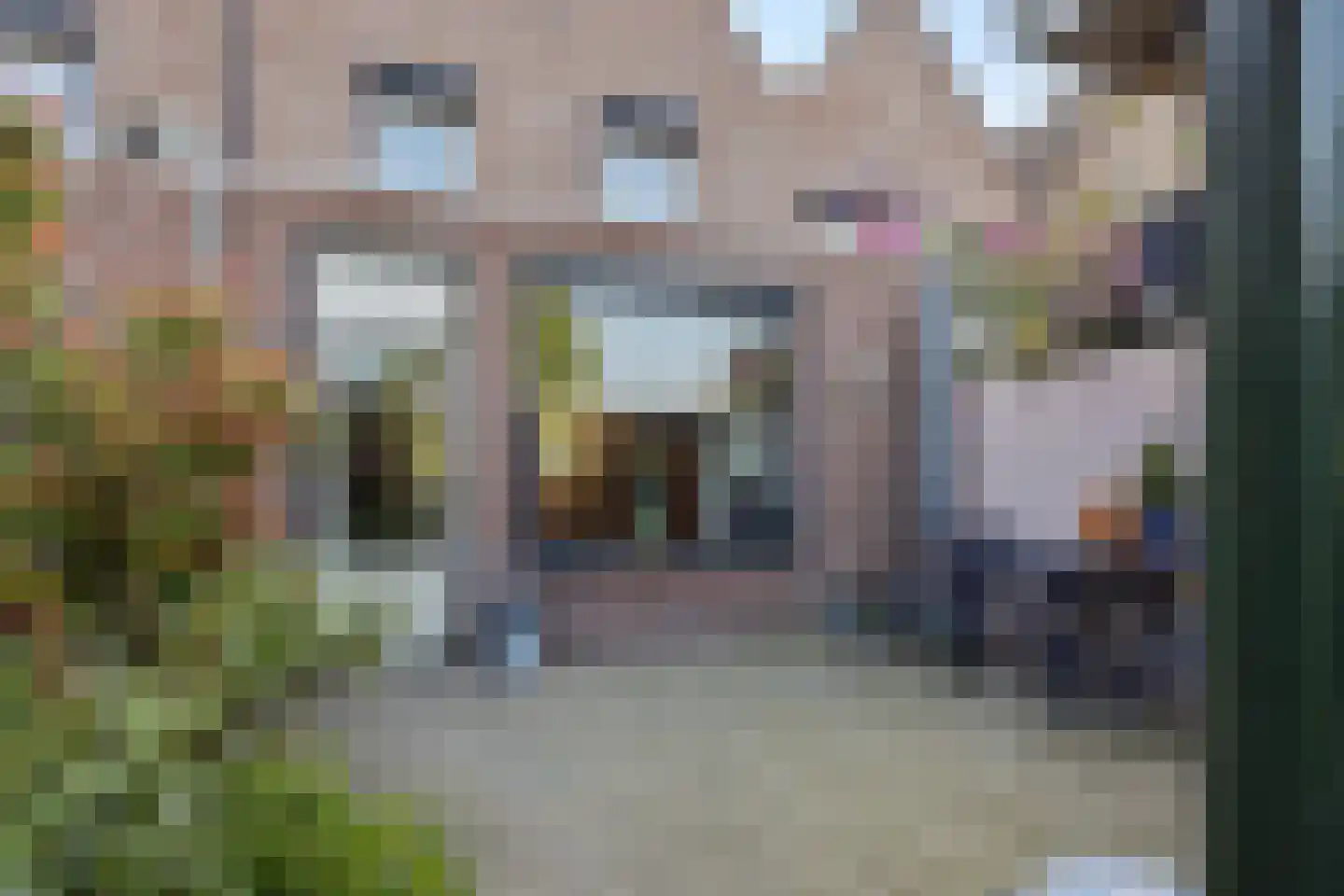 Zuidende 59 Helmond thumbnail 25