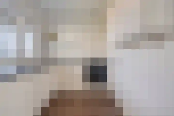 Zuidende 66 Helmond thumbnail 22