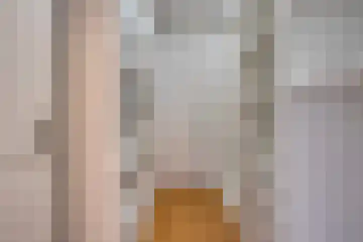 Zuidende 66 Helmond thumbnail 34