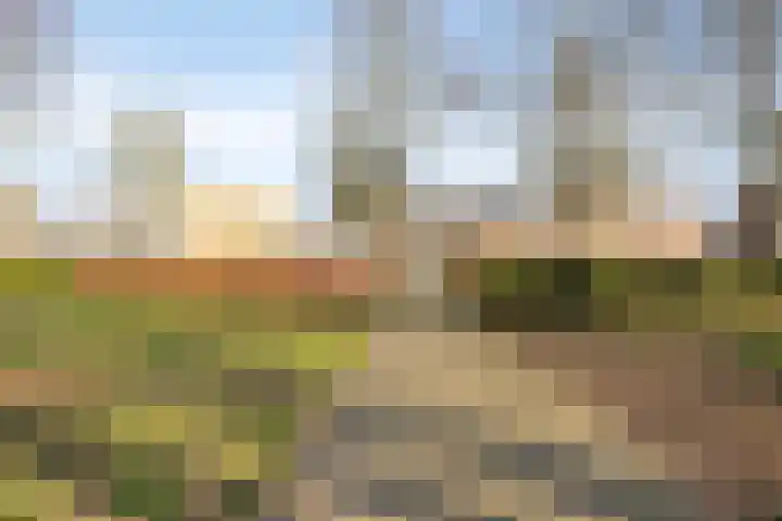 Zuidende 66 Helmond thumbnail 37