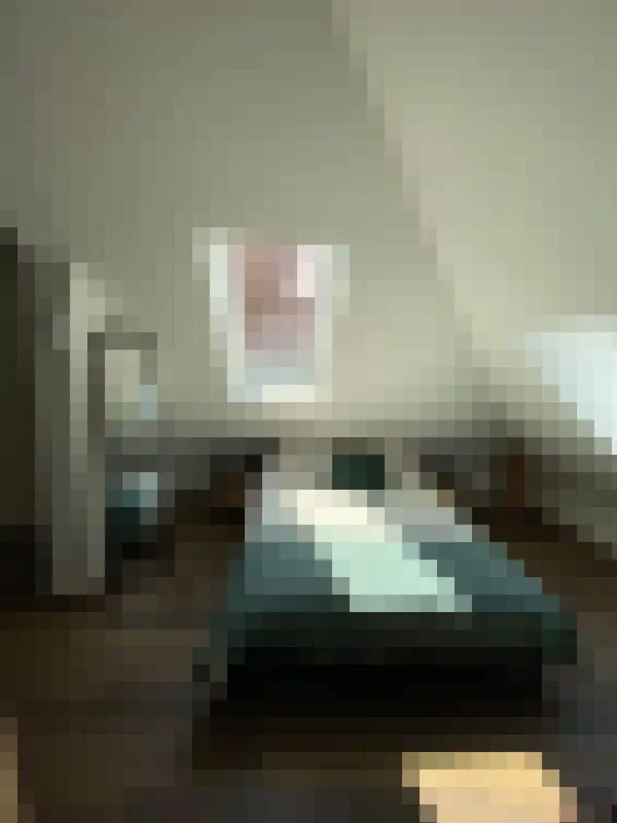 Zuidende Helmond thumbnail 4