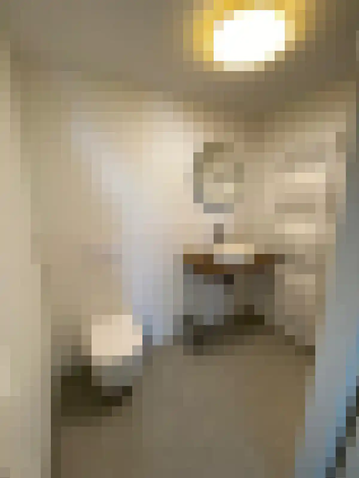 Zuidende Helmond thumbnail 5